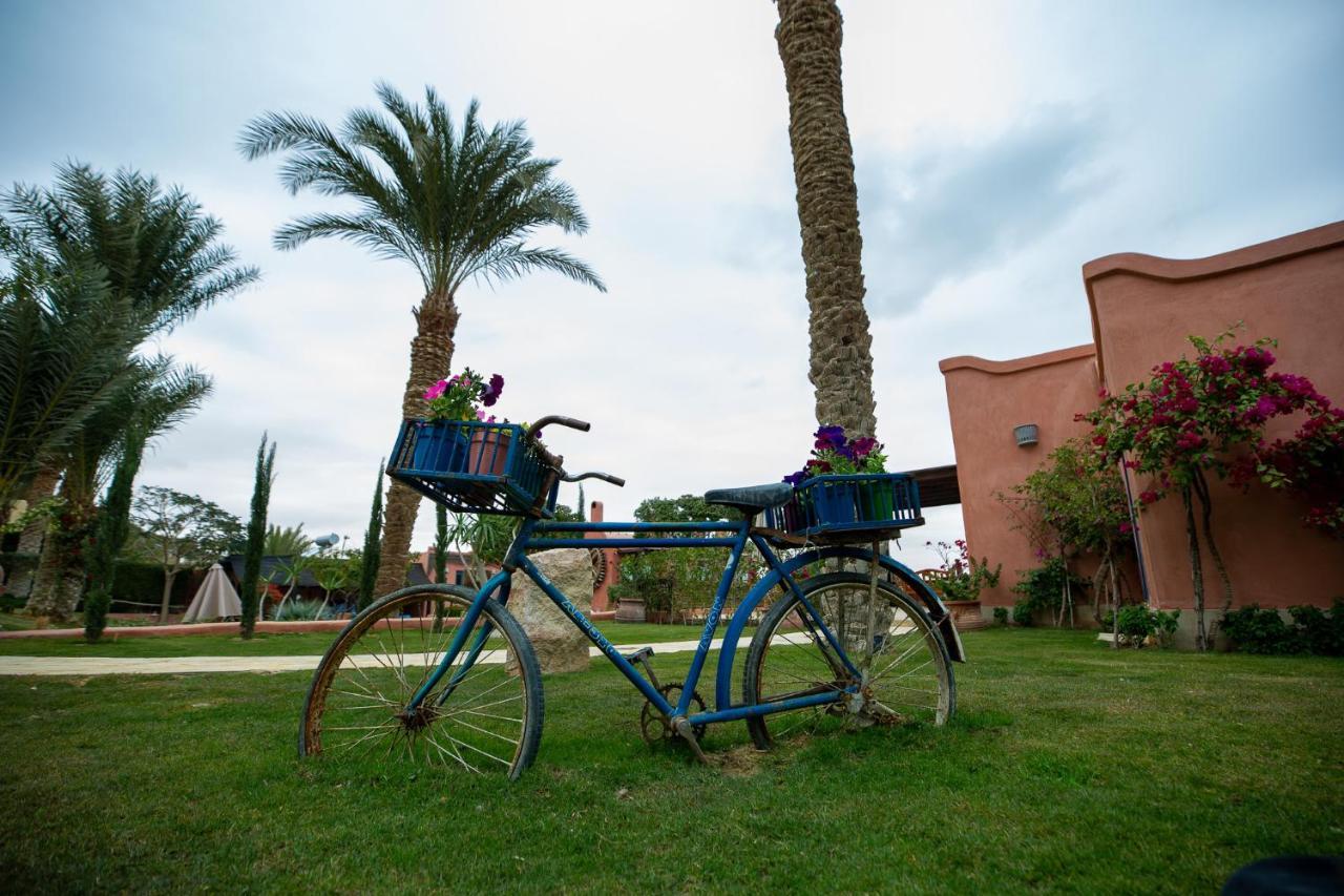 Lazib Inn Resort & Spa Tunis Exterior foto